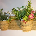 Patri Apartament